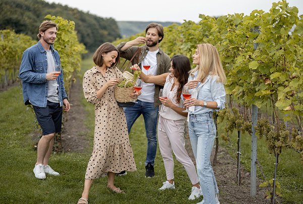 wine-appreciation
